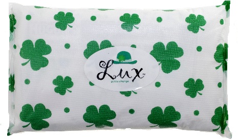 St. Patrick's Day, kids, childs, children, baby, toddler, adult, shamrock, senior, green, clover, diaper, pullup, leprechaun print Mini Sacks with 2 single use disposable change kits